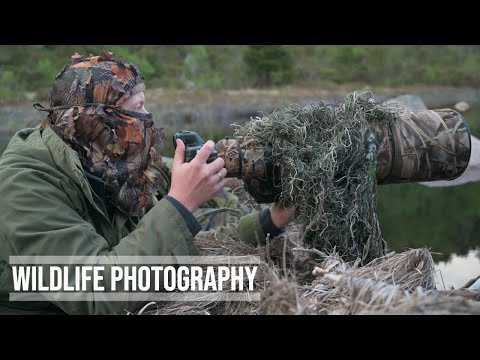 Видео: 1 ГОД НА ОТКРЫТОМ ВОЗДУХЕ с ФОТОГРАФИЕЙ ДИКОЙ ПРИРОДЫ // Nikon Z8 — фотосъемка бобров в формате 4K