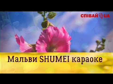 Видео: Мальви (мінус, караоке) SHUMEI