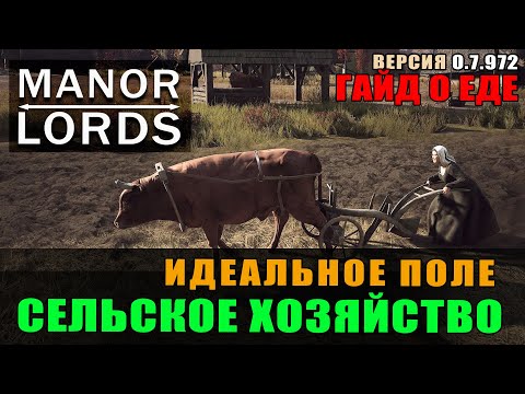 Видео: Manor Lords гайд: Сельское хозяйство. Идеальные поля