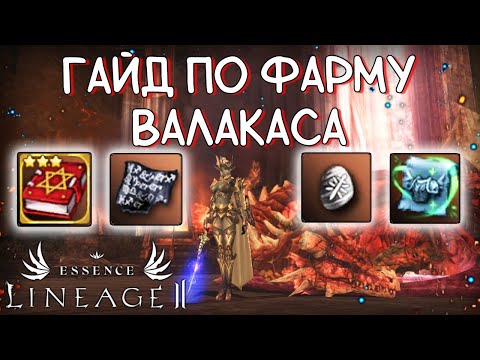 Видео: ГАЙД КАК ФАРМИТЬ ВАЛАКАСА lineage 2 essence храм валакаса лучший фарм для средних игроков