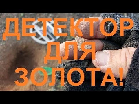 Видео: Лучший металлоискатель для поиска золота на пляже и ювелирных изделий!