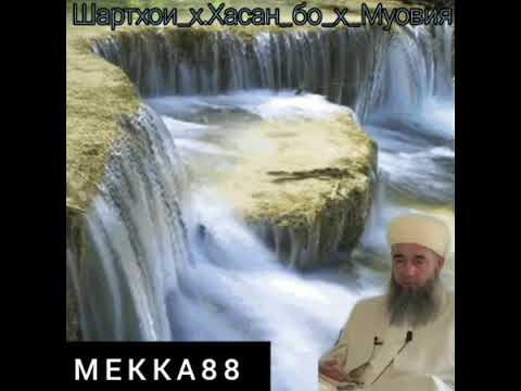 Видео: эшони нуриддинчон шартхои х.Хасан.бо х.Муовия