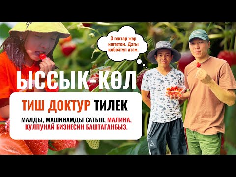 Видео: ТИШ ДОКТУРЛУКТАН дыйканчылыкка ӨТТҮМ | Тилек Асанбеков