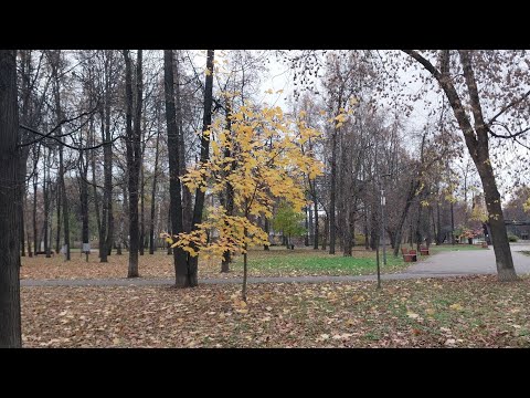 Видео: Прогулка по парку 27 октября