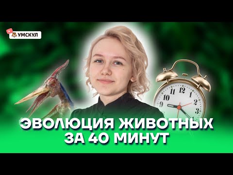 Видео: Эволюция животных за 40 минут | Биология ОГЭ 2022 | Умскул