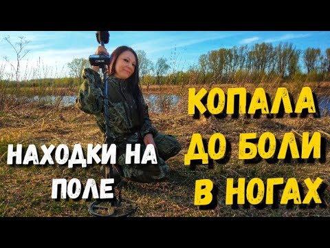 Видео: Сезон открыт. Приехала на поле и встретила банду копателей, которые окружили меня со всех сторон