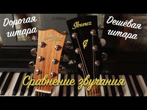 Видео: Сравнение ДОРОГОЙ и ДЕШЁВОЙ гитары🎸 Maton Performer VS Ibanez PF15-ECE #гитара #matonguitars