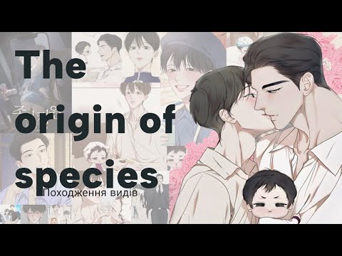 Видео: ДИТЯ В ЧОЛОВІКІВ!? | огляд яой манхви | the origin of species | Походження видів | by Harusari