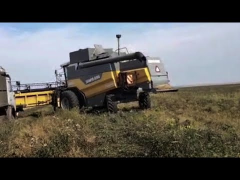Видео: За рулём  Сампо, молодой комбайнер Димон! 