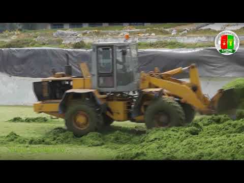 Видео: Заготовка кормов ПК им В И Кремко