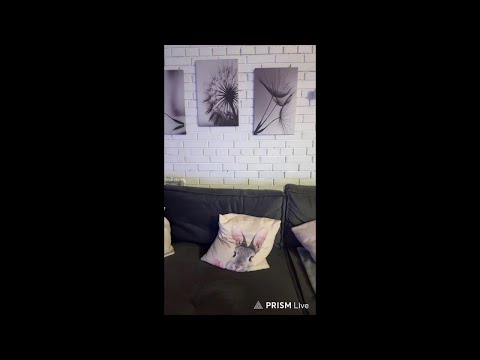 Видео: стрим