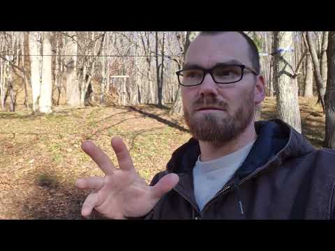 Видео: Перемещение бревен и мульчи с помощью Yanmar 425.