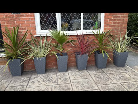 Видео: ПРОСТАЯ защита на зиму!