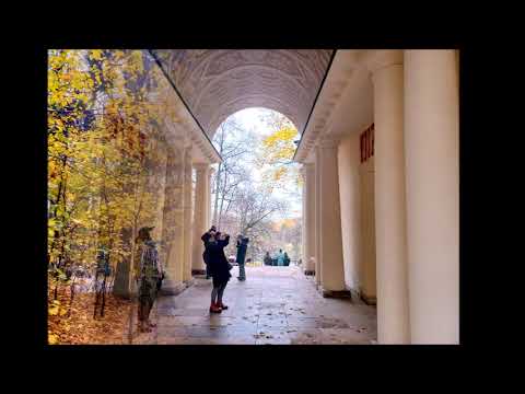 Видео: Осень в усадьбе Царицыно. 18 октябоя 2025 г
