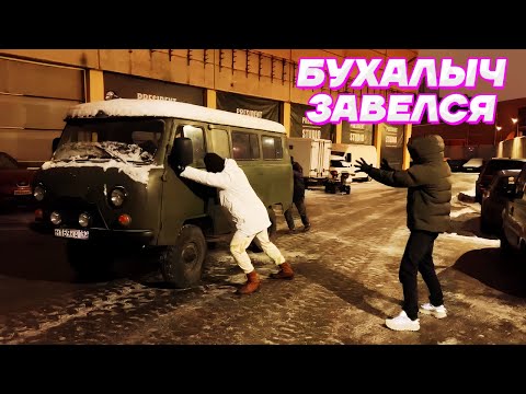 Видео: НАШ БУХАЛЫЧ ВСЕ ТАКИ ЗАВЕЛСЯ / Кореш, Парадеевич, PLOHOYPAREN, FRAME TAMER и Данила Горилла