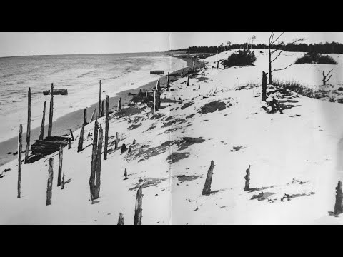 Видео: Остров Ягры: осмотр 21 октября 📹 TV29.RU (Северодвинск)