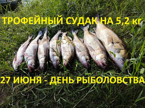 Видео: В день рыболовства мой новый рекорд - 5.2 кг. Ночная рыбалка на судака 27 июня 2023 г. на Ладоге
