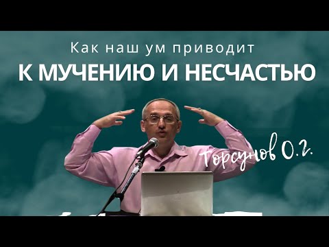 Видео: Как наш ум приводит к мучению и несчастью! Торсунов лекции