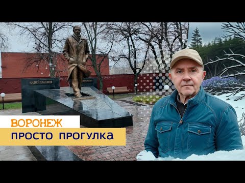 Видео: Просто прогулка, Воронеж 08 01 25г