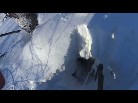 Видео: Две недели без проверки, капканы ВМЕРЗЛИ! Есть бобр или нет не узнал! The beaver traps are frozen