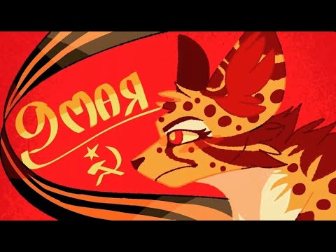 Видео: Коты-воители/Клип/"Катюша"/С ПРАЗДНИКОМ ПОБЕДЫ!!!!