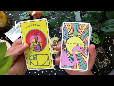 Видео: Близнецы ♊️: вот что вам говорят знаки! ✨🦋