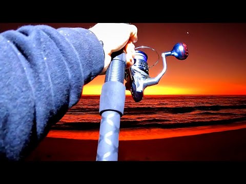 Видео: Замачивание СВЕЖЕЙ наживки окупается! Великолепная рыбалка на закате на пляже 🎣