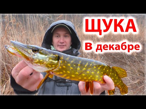 Видео: Ловля ЩУКИ в декабре на спиннинг ( силиконовые приманки )