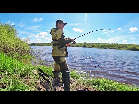 Видео: Рыбалка на Фидер в Мае|Рыбалка на Западной Двине|Беларусь 2022.