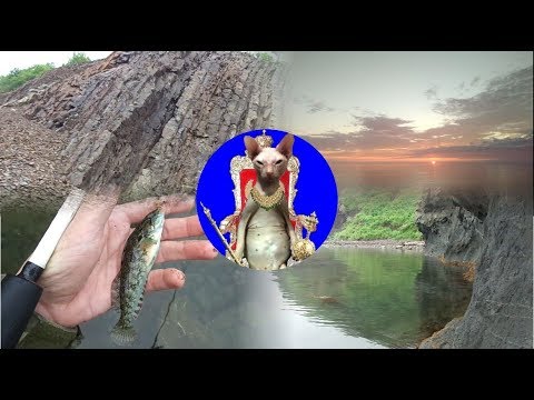 Видео: В ожидании отлива. Сахалин. Бошняково