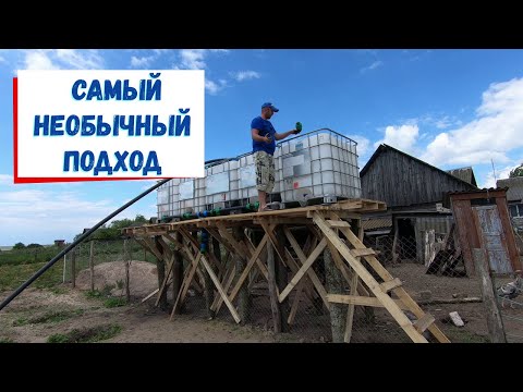 Видео: Такое должно быть у каждого голубичника