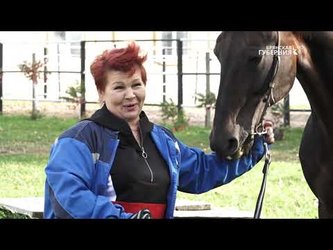 Видео: «Регион 32». ООО «Конный завод "Локотской"». Выпуск 3 от 28 октября 2020 года