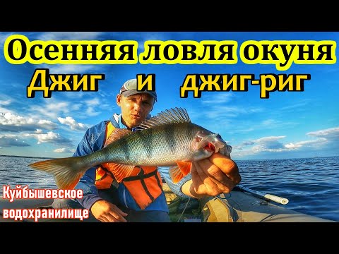 Видео: ОКУНЬ/ РЫБАЛКА НА СПИННИНГ/ ДЖИГ И ДЖИГ-РИГ/ОСЕНЬ 2025