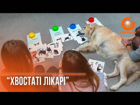 Видео: «Хвостаті лікарі»: як у Рівному проводять заняття з каністерапії