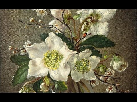 Видео: Натюрморт. Как рисовать цветы.  Гризайль, пропись коричневым.