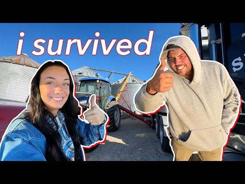 Видео: Сбор урожая соевых бобов в Миссури