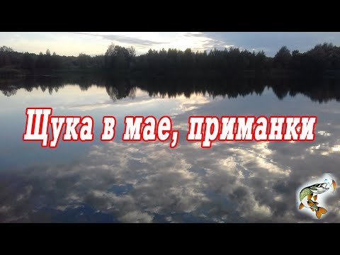 Видео: Спиннинг  Щука в мае