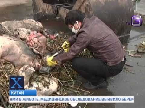 Видео: Х-Версии-20-03-2013.