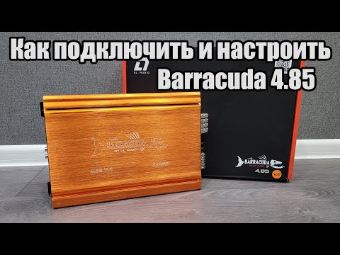 Видео: Обзор, подключение, настройка DL Audio Barracuda 4.85 v2