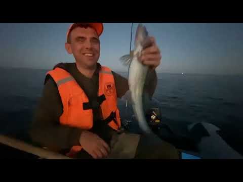 Видео: Видео-бонус. Ладога, Судаки, Лето