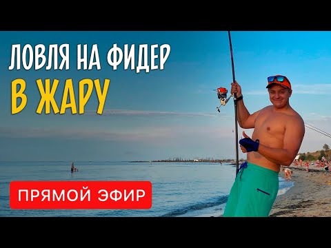 Видео: Ловля НА ФИДЕР В ЖАРУ. Результативная и комфортная рыбалка летом. Прямой эфир.