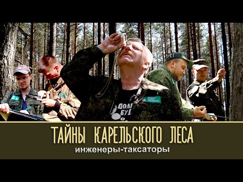 Видео: ИНЖЕНЕРЫ-ТАКСАТОРЫ | Тайны карельского леса