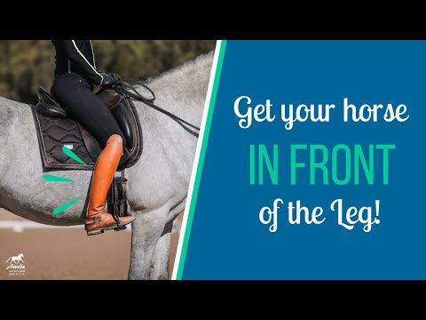 Видео: Вперед и перед ногой