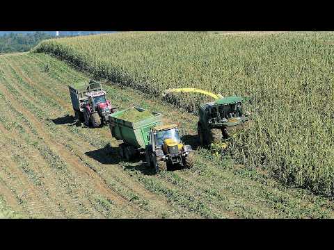 Видео: Мокрый силос на склоне, John Deere 8100i, Tatra 815, JCB Fastrac и Case IH cvx