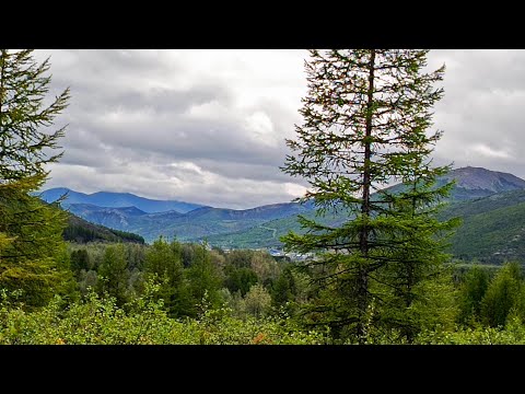 Видео: За хариусом на Кулу. Часть 2: тихая охота в посёлке Омчак.