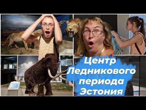 Видео: Эстония.Тарту.Центр Ледникового периода.Музей в Эстонии.Муляж мамонта в натуральную величину!!Влог