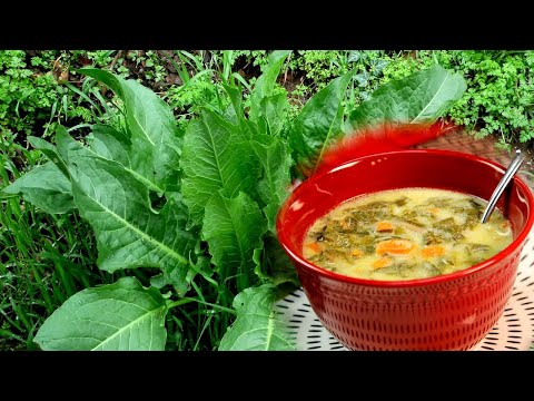 Видео: 🥣 Щавелевый суп с йогуртом - 🇧🇬 Супа от Лапад