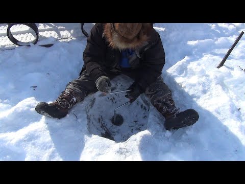 Видео: Будни эвенов-оленеводов. Рыбалка между делом.