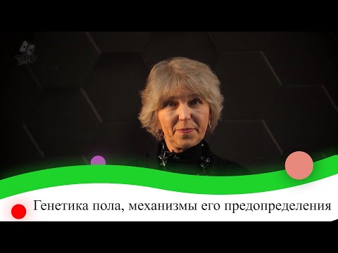 Видео: Генетика пола, механизмы его предопределения. 9 класс.