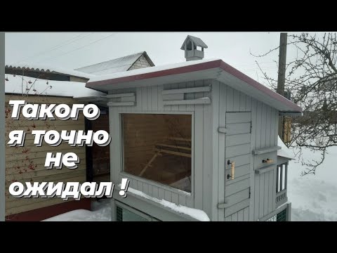 Видео: Первые ПРОБЛЕМЫ. Курятник "ЛЮКС". АЛТАЙСКАЯ БЕНТАМКА.